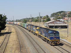 Indian Pacific NRs