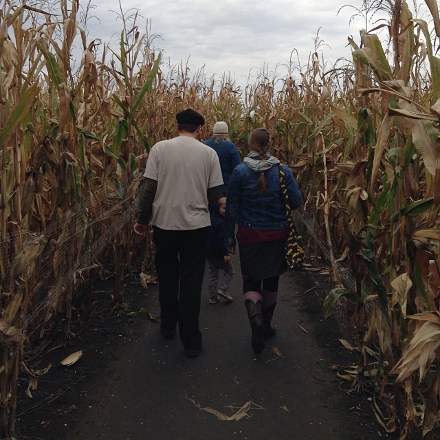My siblings and I went to #jonamac #cornmaze. It's been a few years since we've done it. My fitbit says it was about 4,000 some steps. Also of note, this maze (the night time haunted version) was recently featured on #theOnion