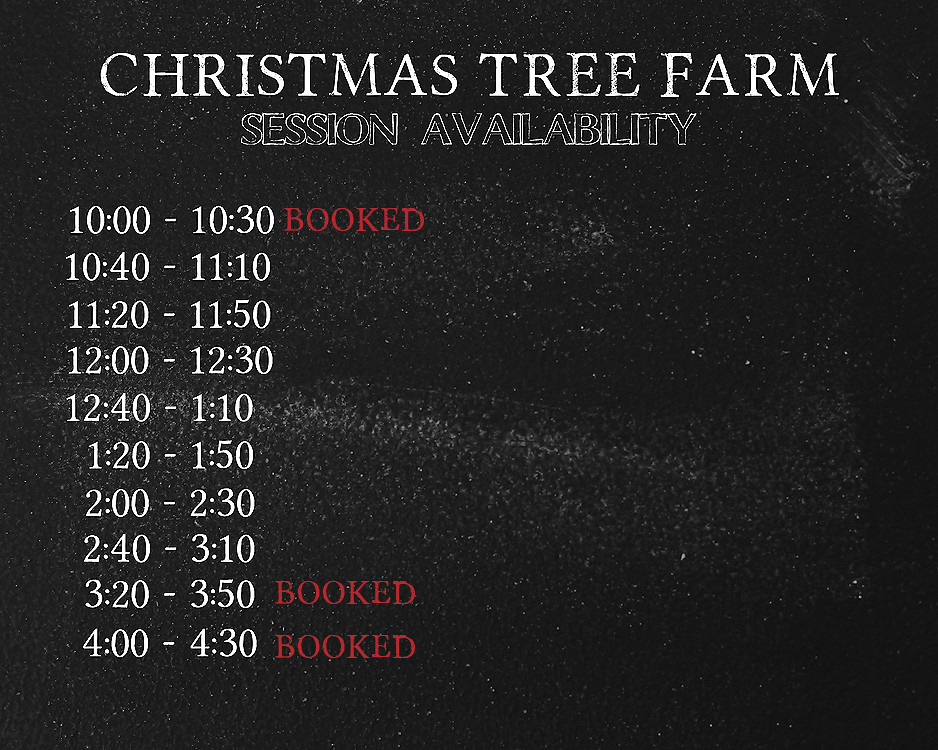THE CHRISTMAS TREE FARM SESSION AVAILABILITY 3 web