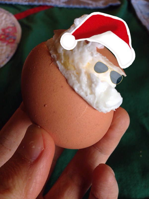 Egg Santa