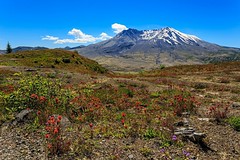 Mount St Helens, 6th July 2014