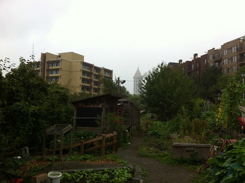 Danny Woo Community Garden: View of Smith Tower