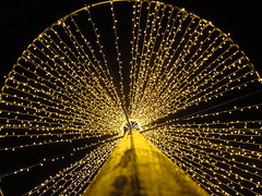 Carlisle Christmas Lights 2013