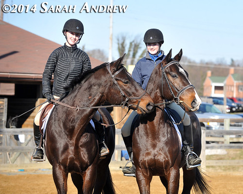 Retired Racehorse Training Project 2014: Stars of the Thoroughbred Makeover at the Maryland Horse World Expo