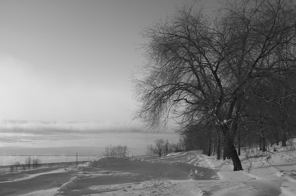 Frosty morning (February 2014)