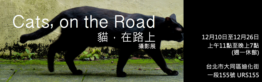 【當期展覽】Cats, on the Road　貓，在路上