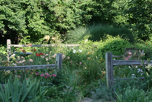 fenced garden