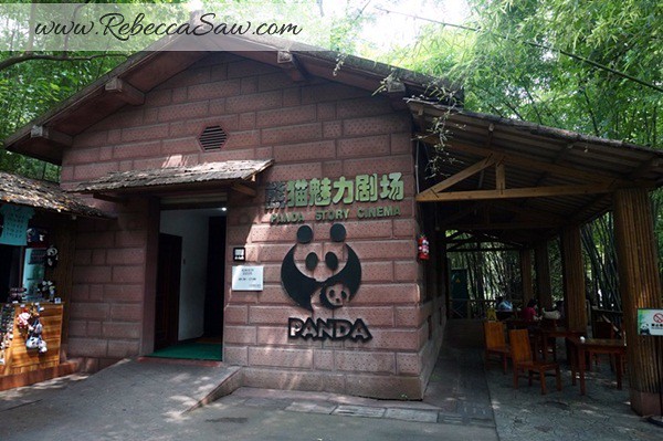 Chengdu - Panda Breeding Farm-063