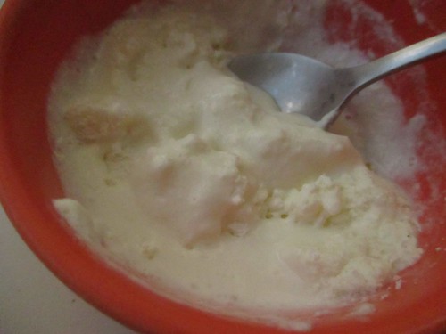 gelato melone bianco