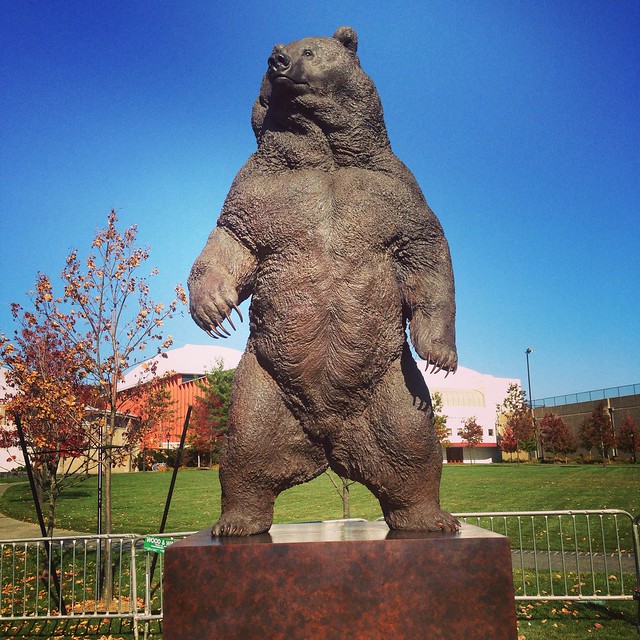 Bronze bear