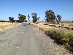 Cycling in Napa