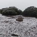Nieve en La Cumbre de Gran Canaria (09-01-2014)