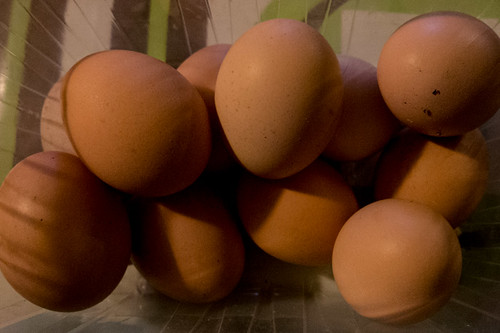 Eleven eggs