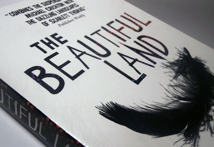 The Beautiful Land book cover