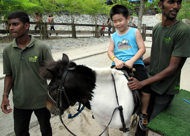 Farm in the City - pony ride