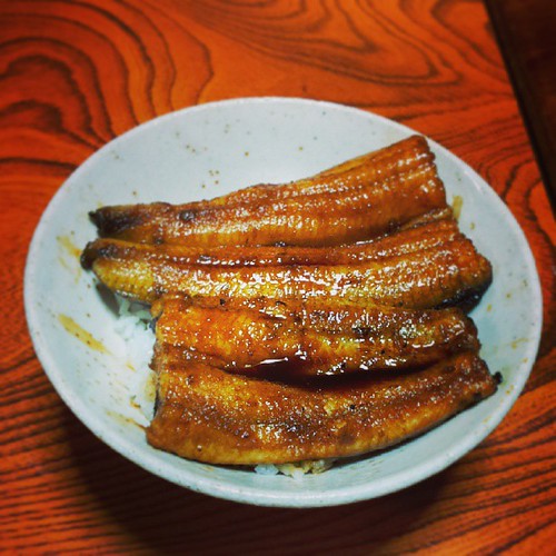 実家から再び静岡へ。 産地ならではのプリプリの鰻丼頂きました！ 幸せ。