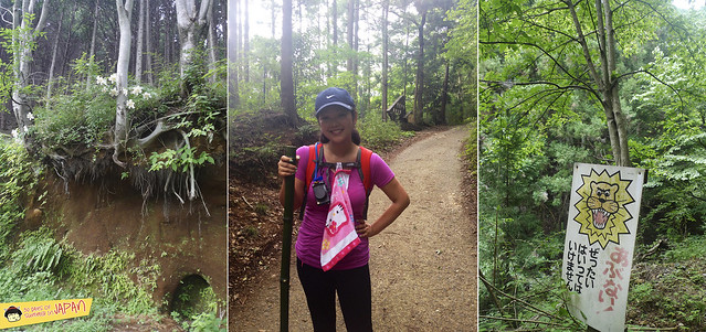 Hiking Mt. Nabewari - day trip from Tokyo - follow signs 3