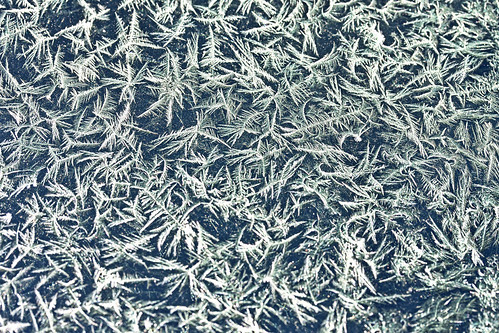 frost on the windshield