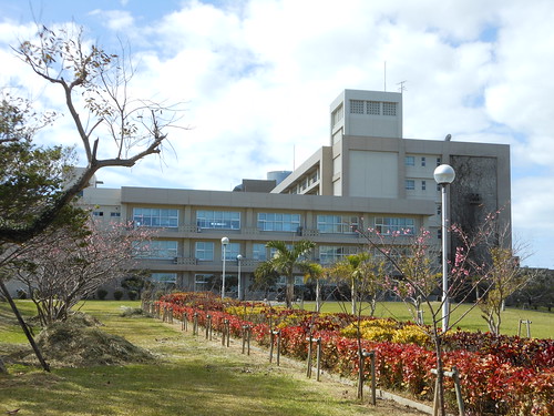 琉球大学B