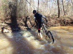 Hirsch Crossing Falling Creek Again 