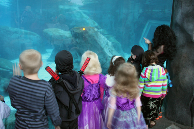 Kids-by-aquarium