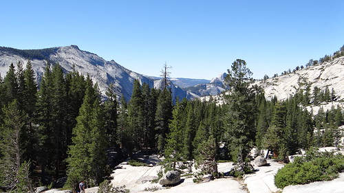 Yosemite - RUTA POR LA COSTA OESTE DE ESTADOS UNIDOS, UN VIAJE DE PELICULA (7)