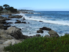 Monterey Area