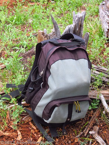 A daypack in the forest – we still use daypacks, even though most of us prefer waist packs.