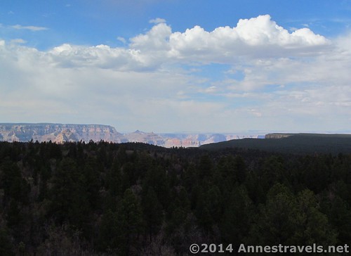 The view of the Grand Canyon from the Grandview Lookout Tower, Kaibab National Forest, Grand Canyon National Park, Arizona