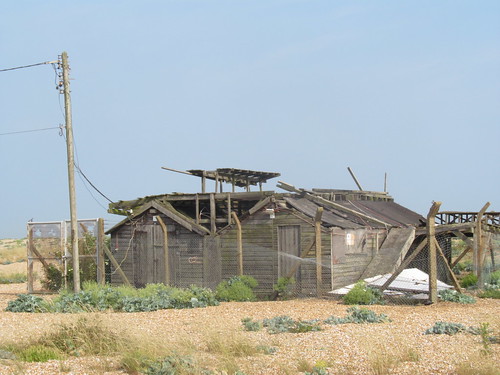 Dungeness, July 2013