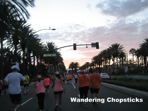 Disneyland Half Marathon - Anaheim 20