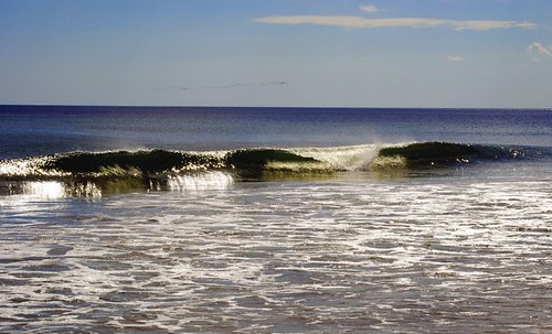 Waves with a Flock On the Horizon