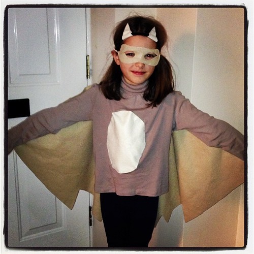 Josie decided to be a realistic bat #halloween