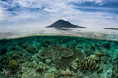 Underwater Indonesia