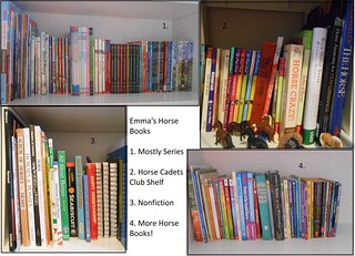 Colection of Horse Books