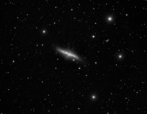 M82 supernova by Mick Hyde