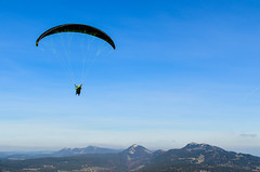 Paragliders between the Mont d'Or and the Suchet