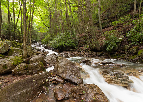 Mountain Creek along the Lehigh River Trail