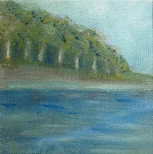 Woods and Shore (Mini-Painting as of August 21, 2013) by randubnick