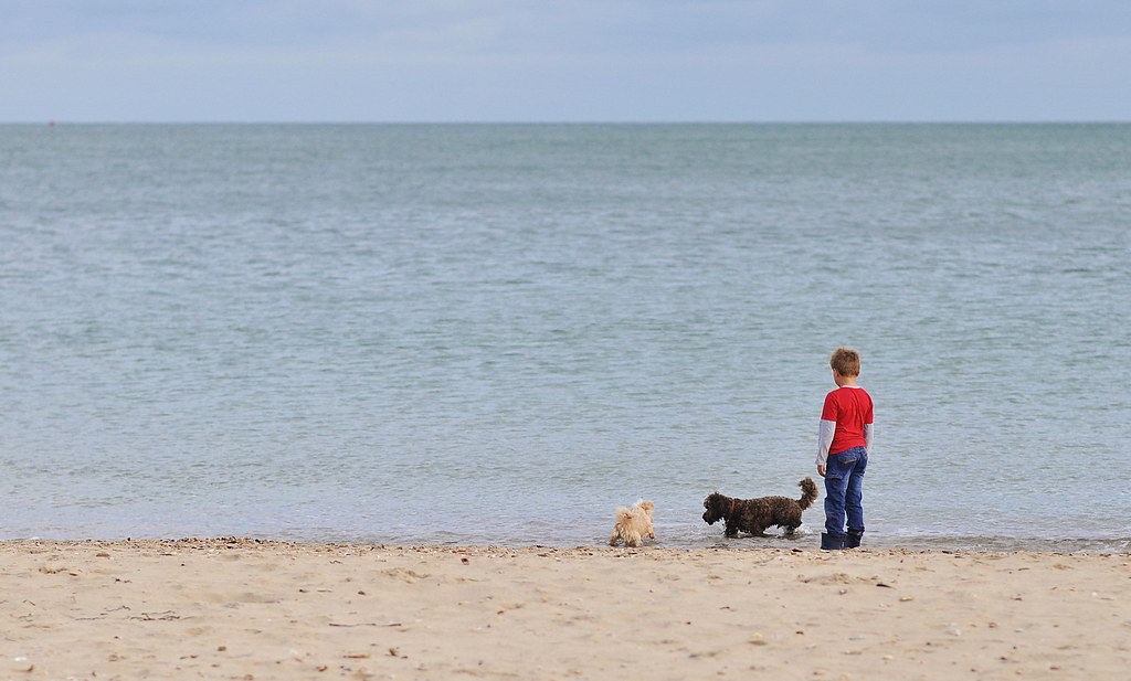 Boy with dogs, Sandbanks