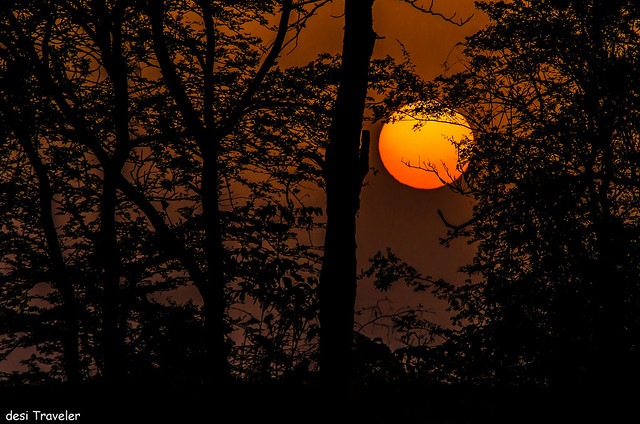 Sunset In Tadoba