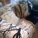 Cushion Covers Willow Branches