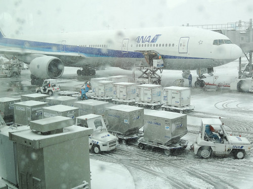 2014年2月8日大雪の羽田空港