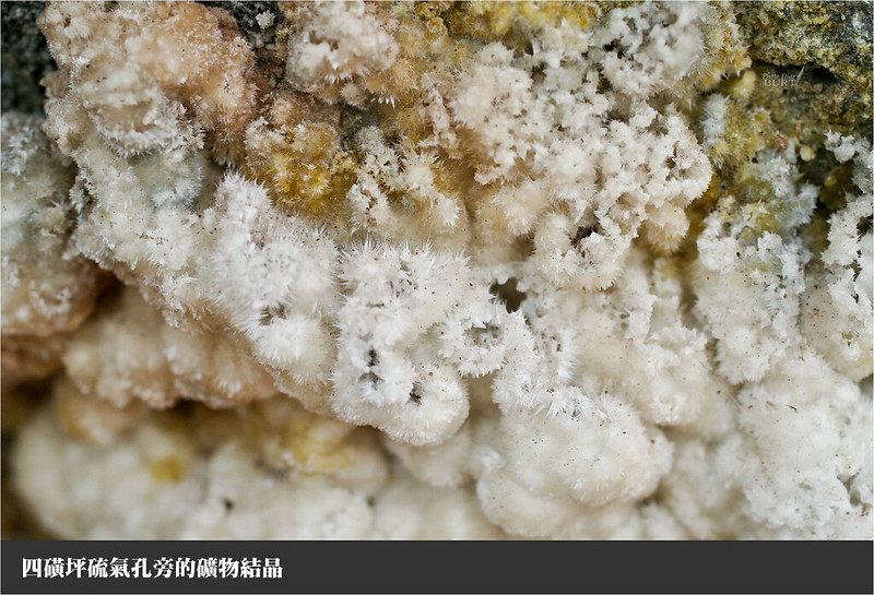 四磺坪硫氣孔旁的礦物結晶