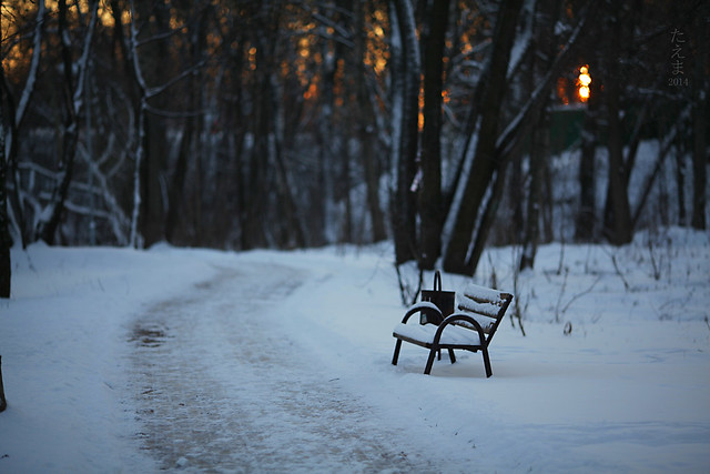 Benches_in_the_winter_2014(03)