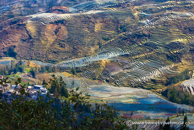 yuanyang rice terraces