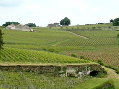 Bordeaux and Saint-Émilion