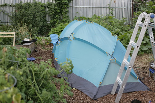 Backyard tent
