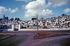 La Guadeloupe en 1980.