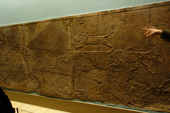 Assyrian Lion Hunt Relief